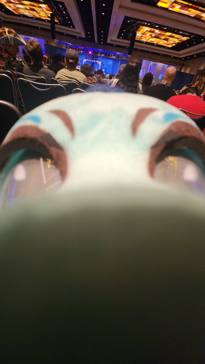SharkCX_'s tweet photo. *sniff snorf*
He misses all of you! https://t.co/6Pq1C1l8d7