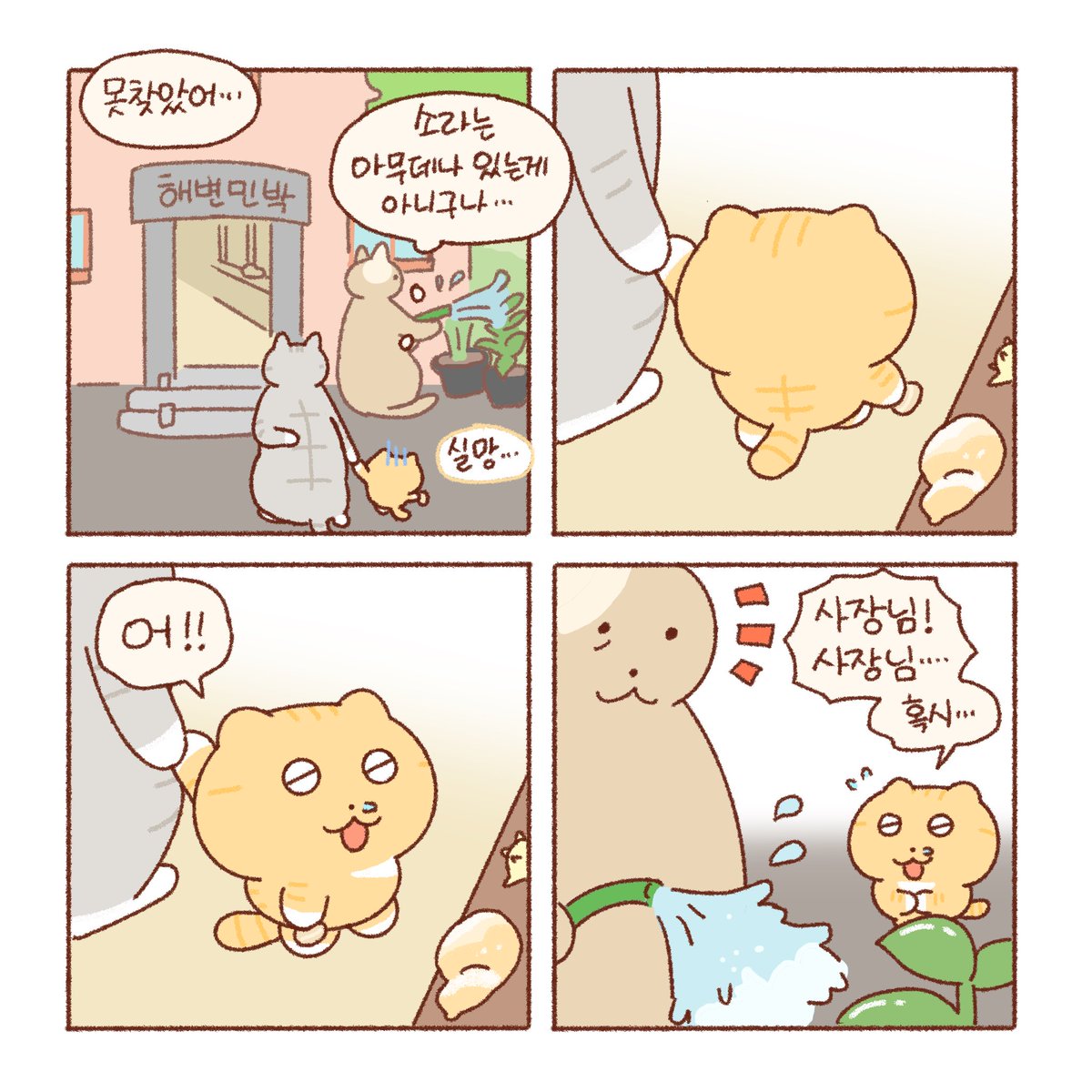 왕소라🐚

낭만적이진 않아도
재밌는 여행..🪸

항상 건강하세요!