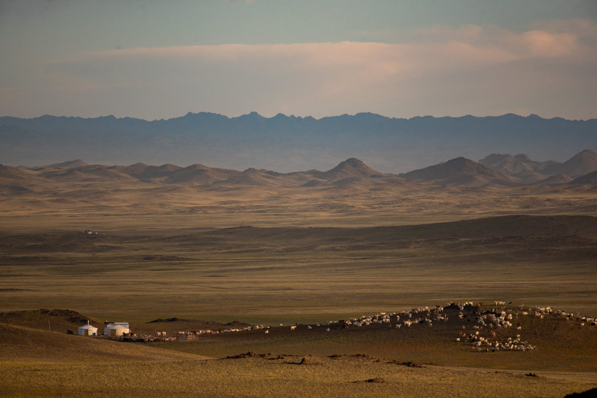 An another spectacular summer camp of one of our herders in Umnugovi province.

#mongolia #gobidesert #nomadiclife