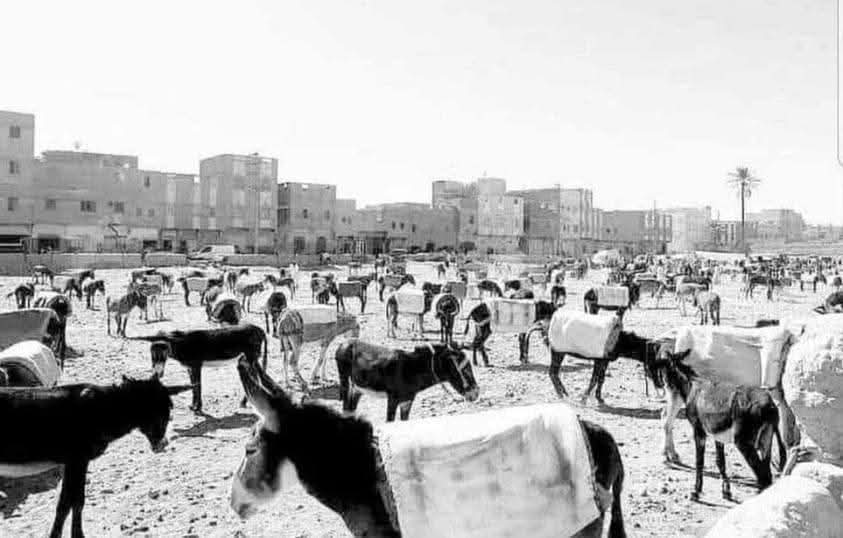 ساحةفي القاهرةكانت مكانالبيع الحميروالغيت وبني مكانهامقرالجامعةالدول العربية والفرق بينهم أن حميرالماضي لايدخلون النارولايعذبون والحميرالجددعليهم من الله مايستحقون