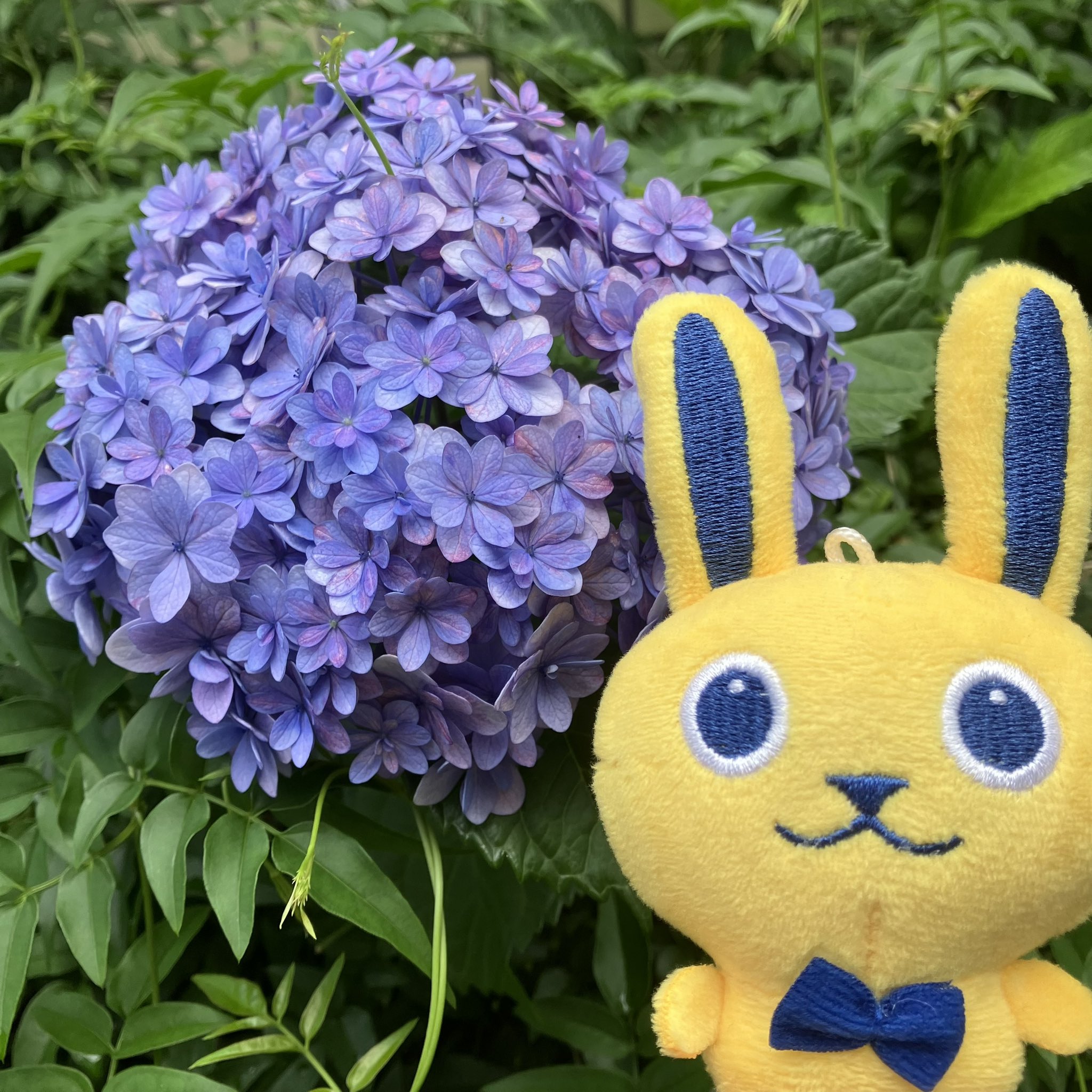 🐰扇風機ニキ on X: 