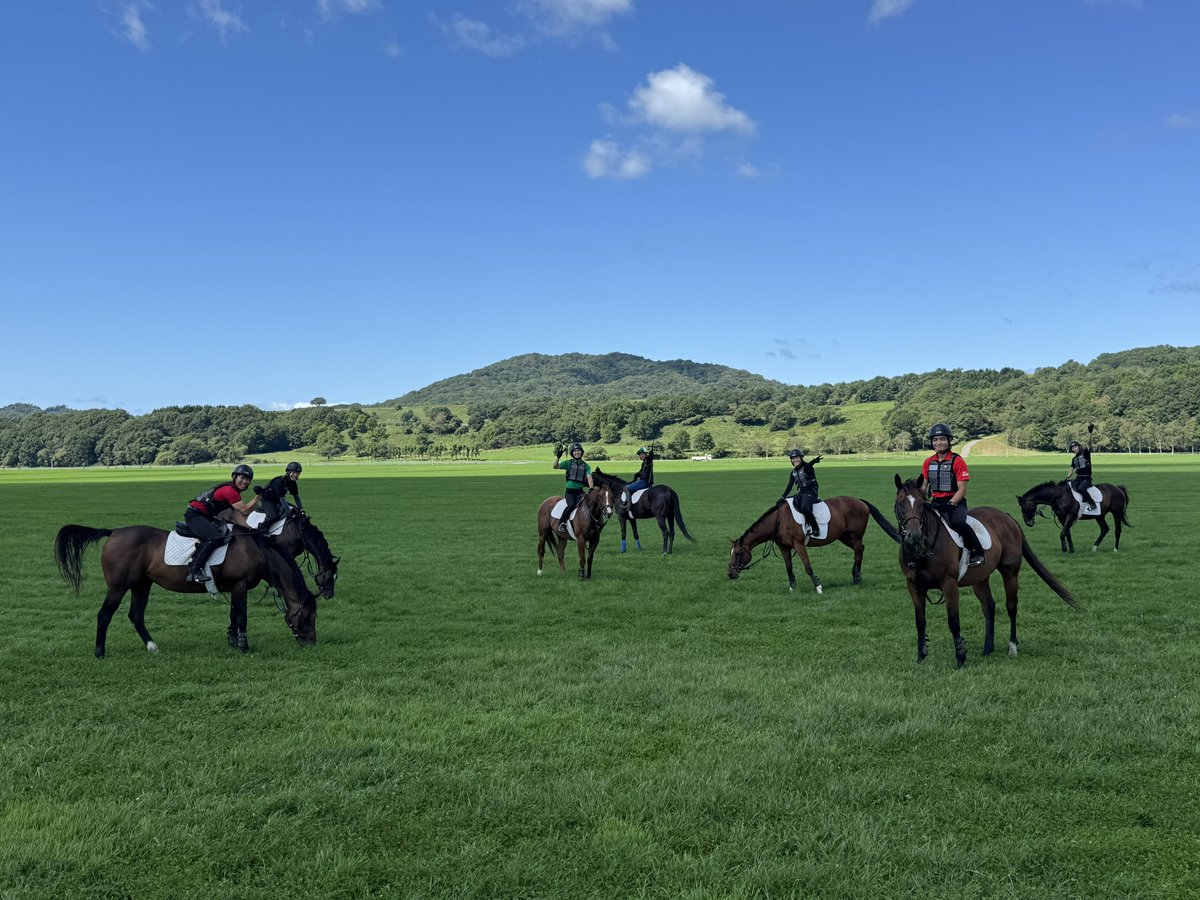 軽種馬育成調教センター