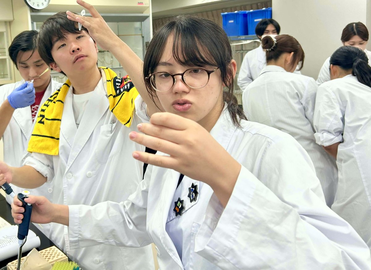 今日のバイオ科2年生は？

遺伝子実習🧬

大腸菌に紫外線を当てると…GFPが発現して緑に光ります！

「この辺、北斗七星っぽくない？」
大腸菌のコロニーが星空のように輝いていました✨🤗

来週はいよいよGFPタンパク質を精製します！

#疎水カラム　#GFP