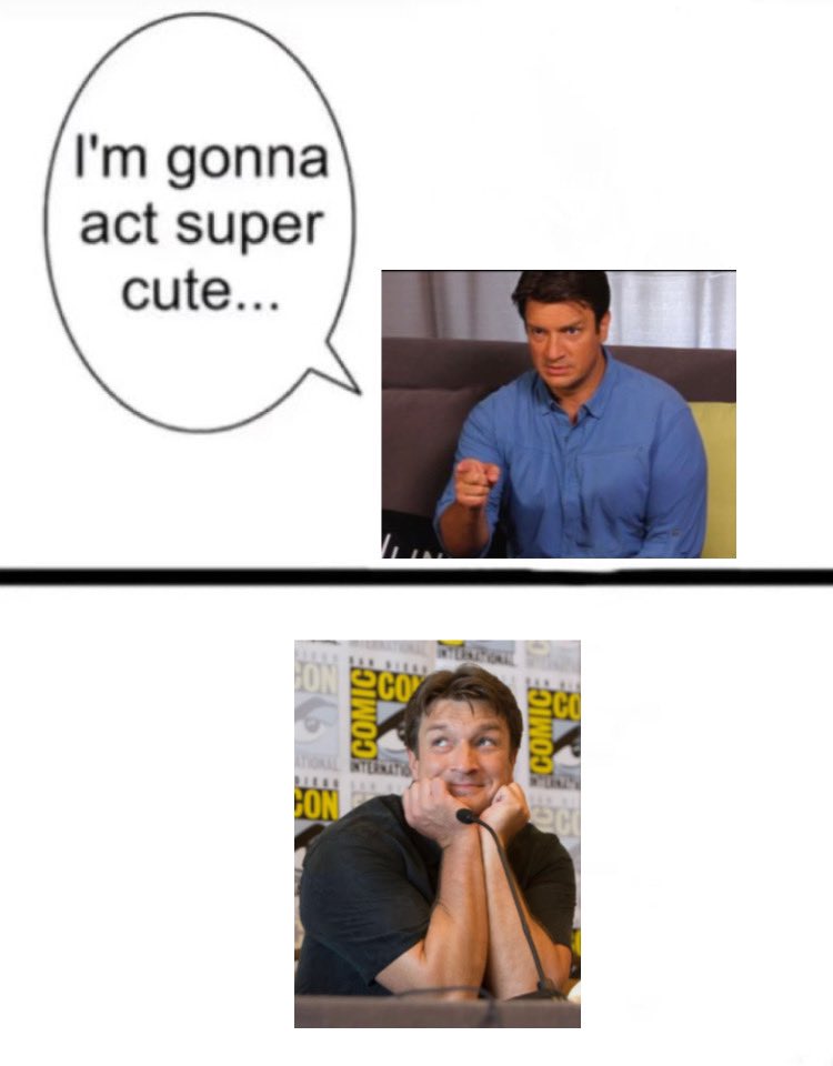 Sophie 🌊🦭 (@sophieisaseal) on Twitter photo 