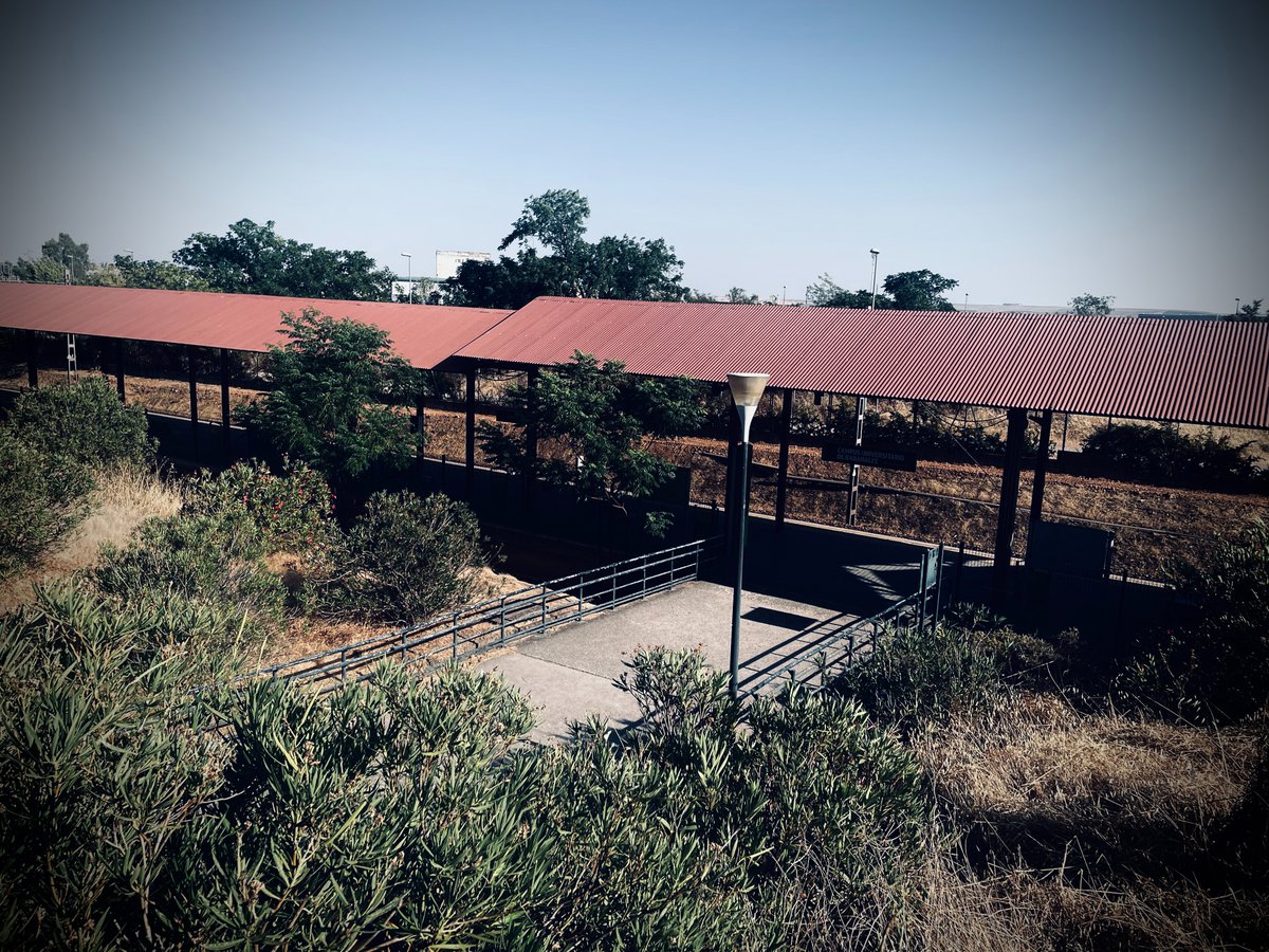 Hoy el tren de las 8:05 Córdoba -> Rabanales fue suspendido con más de un centenar de personas en el andén. <a href="/Renfe/">Renfe</a> nunca decepciona: sus trenes aparecen y desaparecen de forma mágica como el Hogwarts Express, pero con menos gracia y mucha menos profesionalidad.
<a href="/eldiacordoba/">El Día de Córdoba</a>