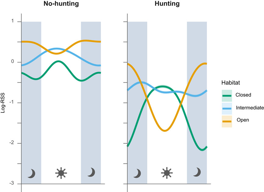 WildlifeBiol's tweet image. Navigating a landscape of contrasting hunting regimes and habitats: red deer responses to risk and resources vist.ly/45fw8 #Hunting #RedDeer #Ungulates