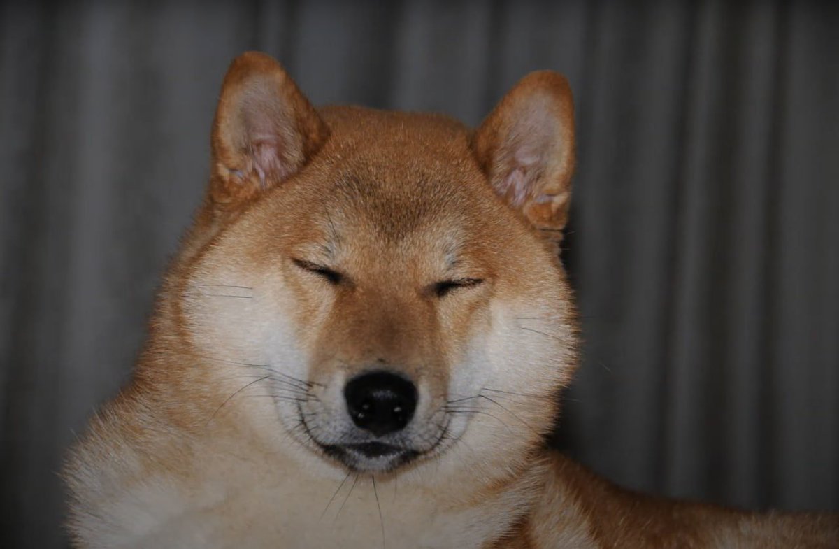 From a single picture to a global crypto community -  Taiki's journey is real.