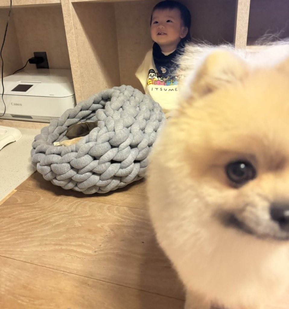 일상계 다시 도전 • • •