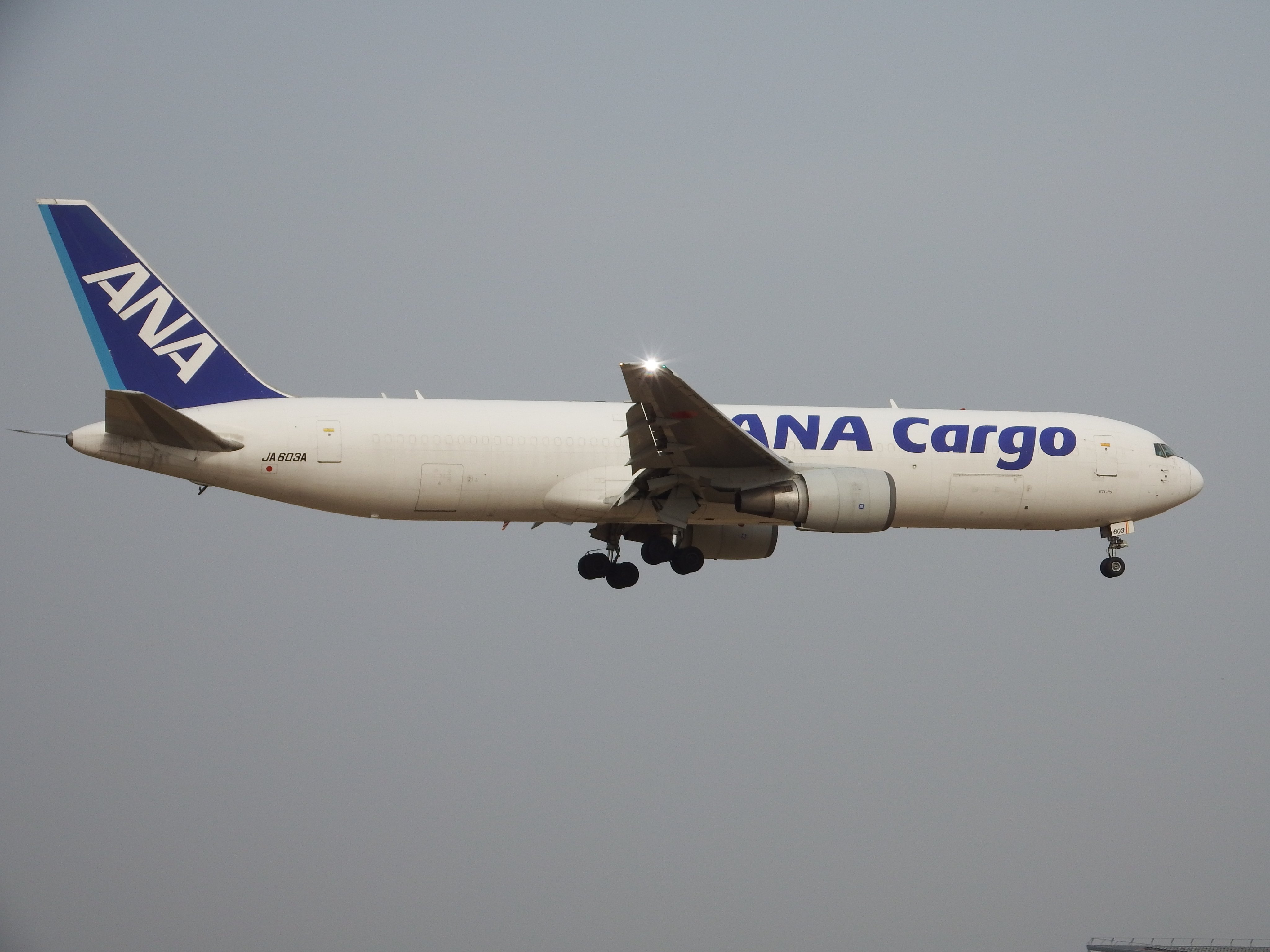 飛行機が趣味な人(羽田・成田ベース)✈ (@hobbyplane767) / X