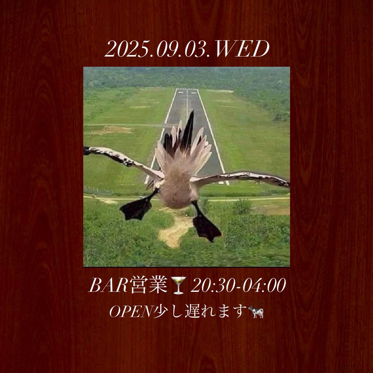 音溶 oto-doke (@oto_doke) on Twitter photo 