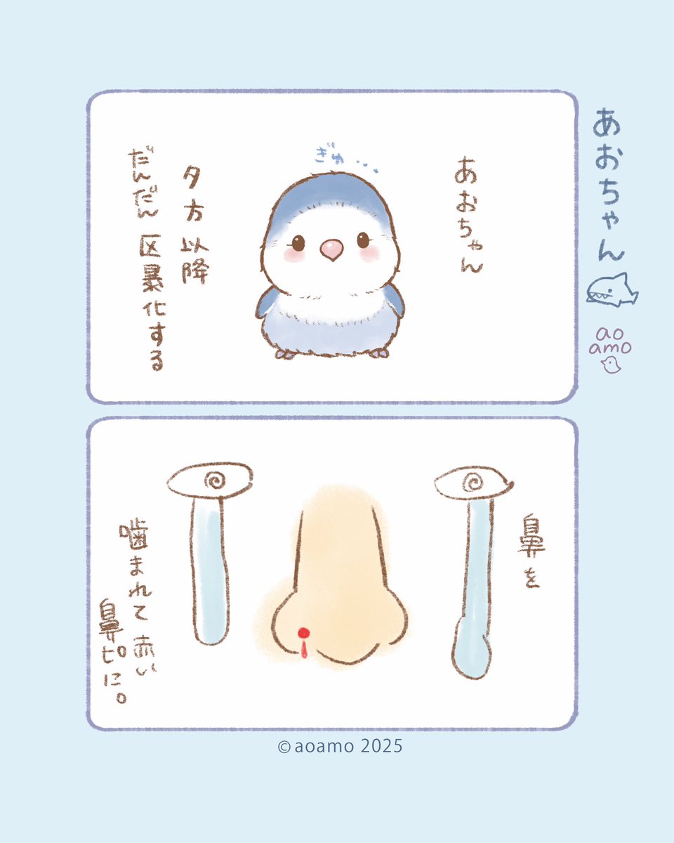 ご連絡用♡ aoamo (@aoamo_lovebird) / X