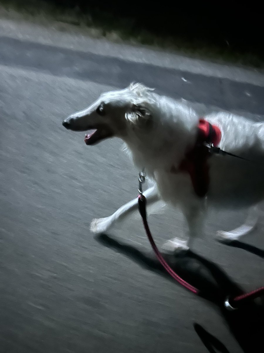 嵐が来るぞー🌀⚡️
急げー💨

涼太メイン頑張れー！！