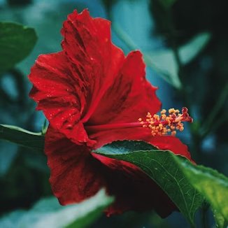 LUX_Lutetia's tweet image. Votre #mission, si vous l&apos;acceptez, est d&apos;#utiliser ce fil pour devenir un « #agent de progrès lucide » plus efficace au sein de la collectivité #mondiale. Le voyage commence de l&apos;intérieur.