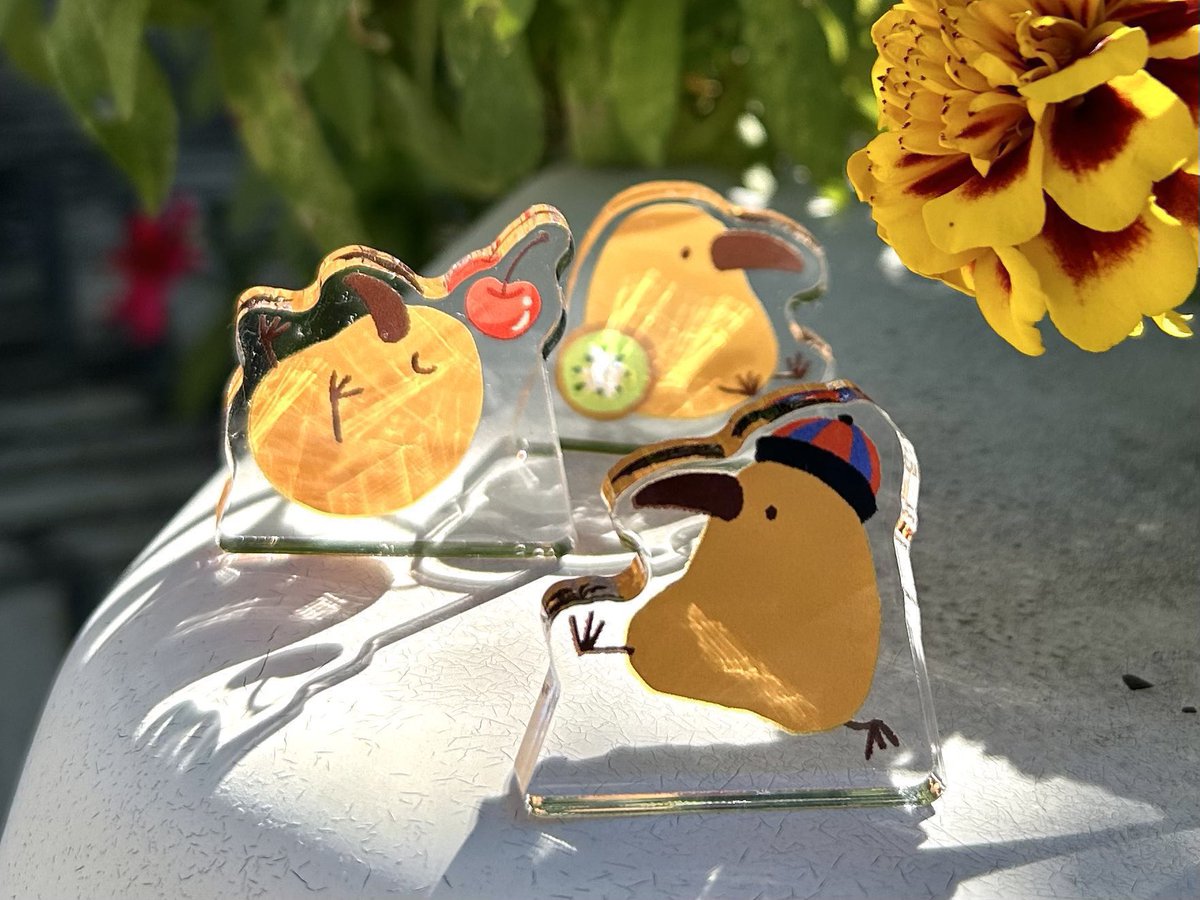 【comatema : 即購入可◎】ことりのおおきなあそびば Ʊ˚ (@pichika21) / X