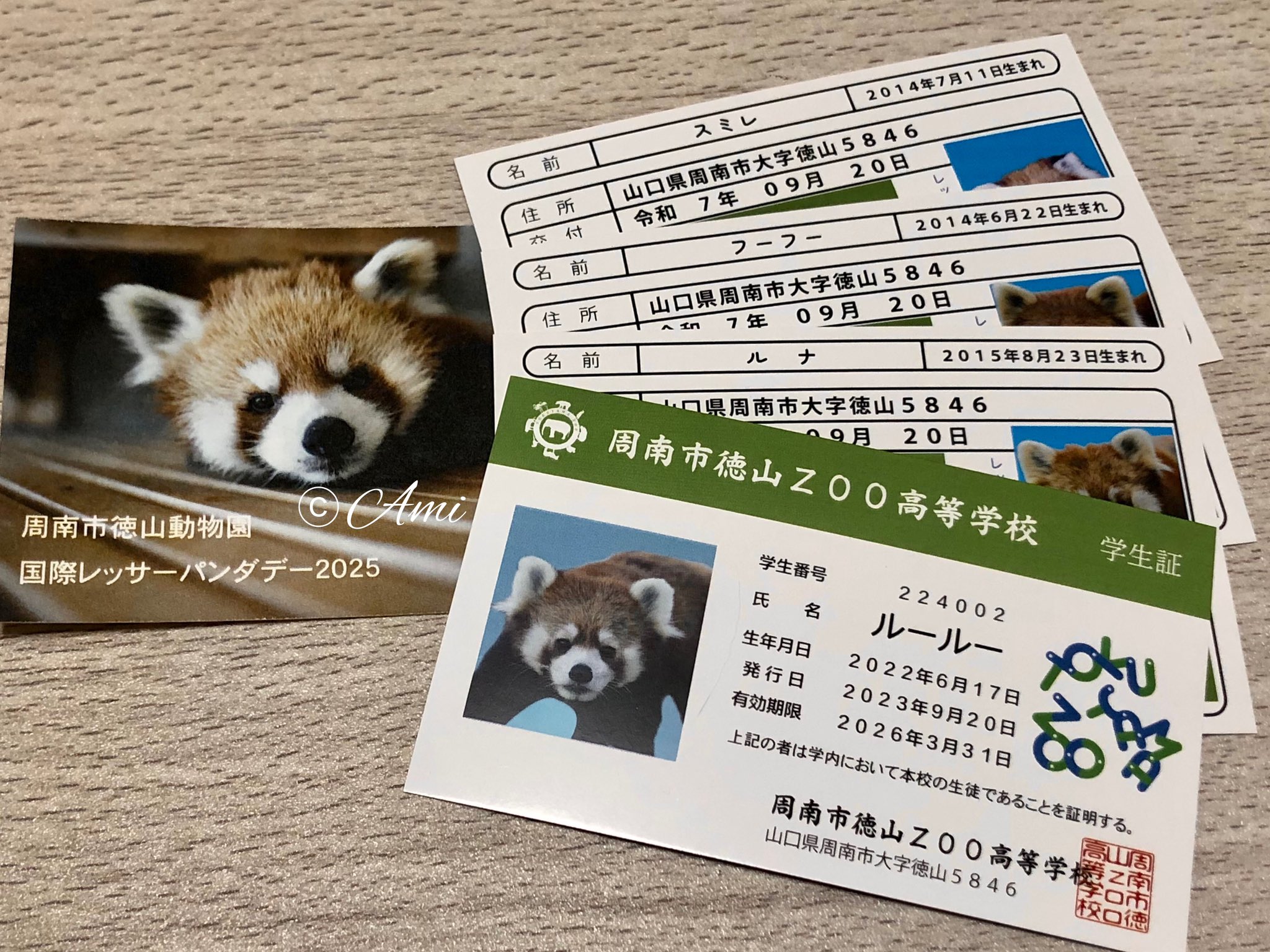 周南市徳山動物園　レッサーパンダ　キーホルダー　山口県　刺繍　zoo　ルールー 周南市徳山動物園 レッサーパンダ キーホルダー 山口県 刺繍 zoo