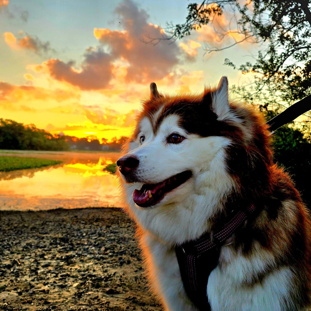 <a href="/AlexCalamiaWx/">Alex Calamia ☀️</a> 
<a href="/hoffmanrich/">RichHoffmanWeather</a> 
<a href="/SamanthaAugeri/">Samantha Augeri</a> 
<a href="/TreutleinDenise/">Denise treutlein</a> 
<a href="/mark_tarello/">Mark Tarello</a> 
<a href="/News12LI/">News12LI</a> 
<a href="/JSeawright_TVWX/">Julian Seawright</a> 
<a href="/AddisonGreenWX/">Addison Green</a> 
#n12stormwatchers 
A nice sunrise with a friend at the Massapequa lake this morning.