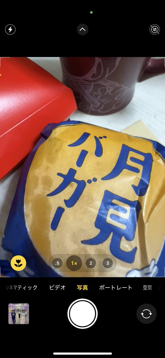 チートデー