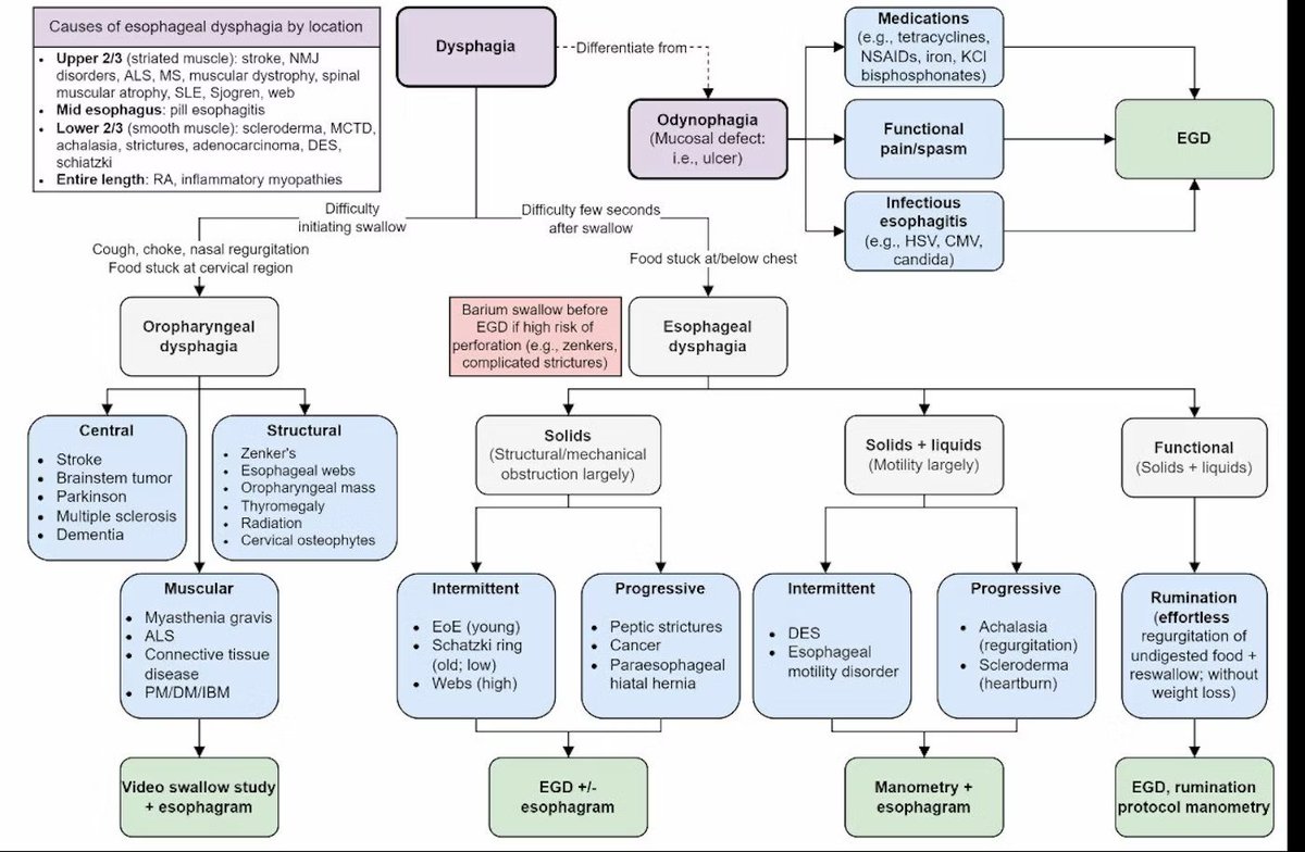 Approach to Dysphagia by Dr. Matthew Ho