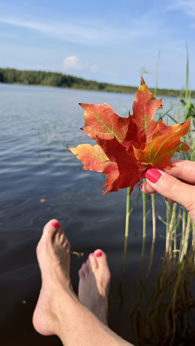 Ja vien nebūtu tās nodevīgās un krāsoties sākušās lapas…☀️🍁🍂
Nez’, šī vēl būtu tā aizkavējusies vasara, jebšu jau tā sauktā atvasara?
Lai nu kā, ir ļoti labi, ja var to izbaudīt.

Sēžu pie ezera un domāju, kā tai Rīgā? Sastrēgumi? Steiga un duna, ja?🤭
