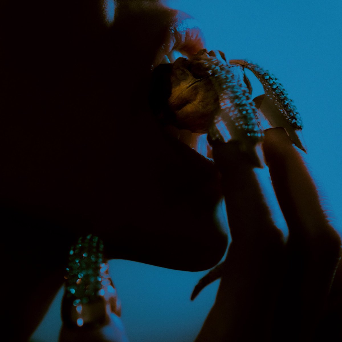 Guido™️ tweet media