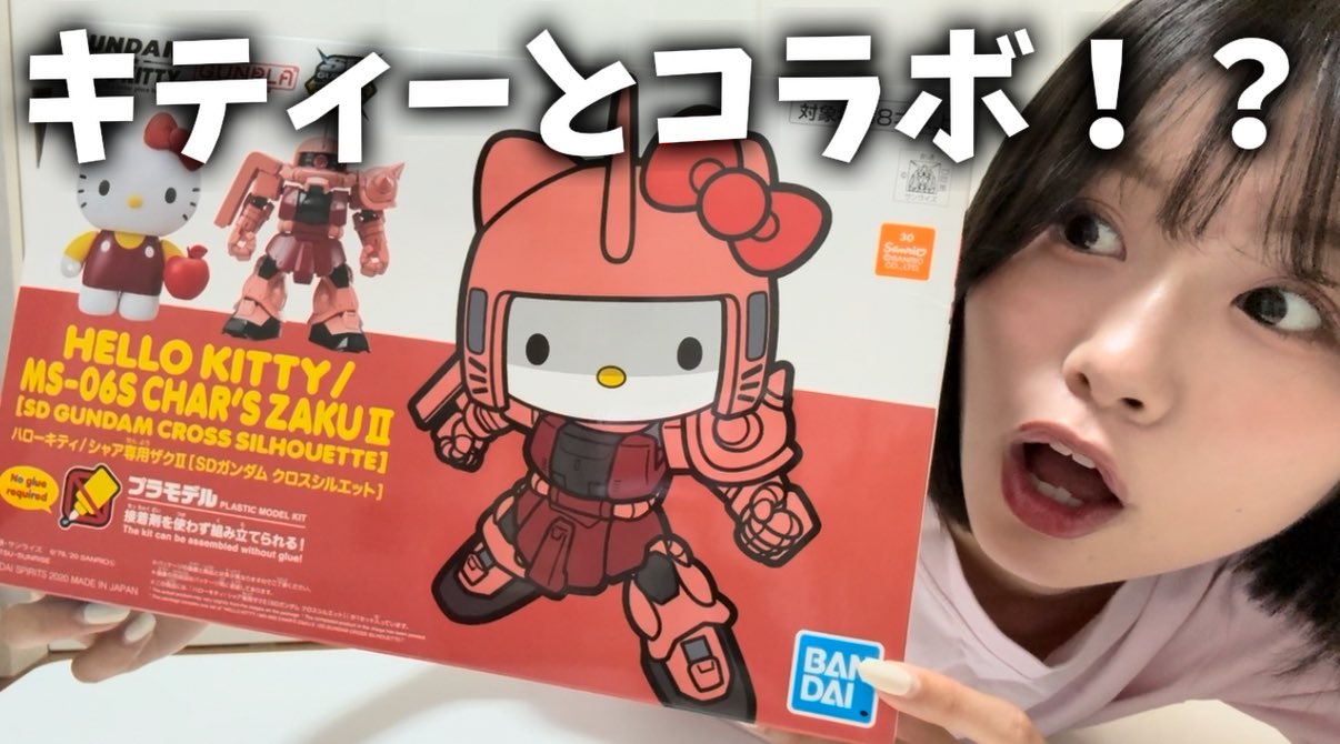 masamiさん専用 メタルシステムケース MSシリーズ（上下カバー鉄製） | 製品情報