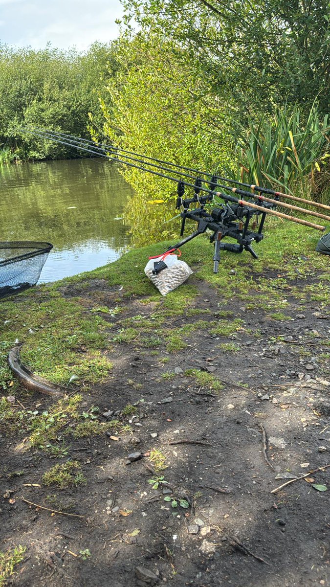 🎣🎣🎣