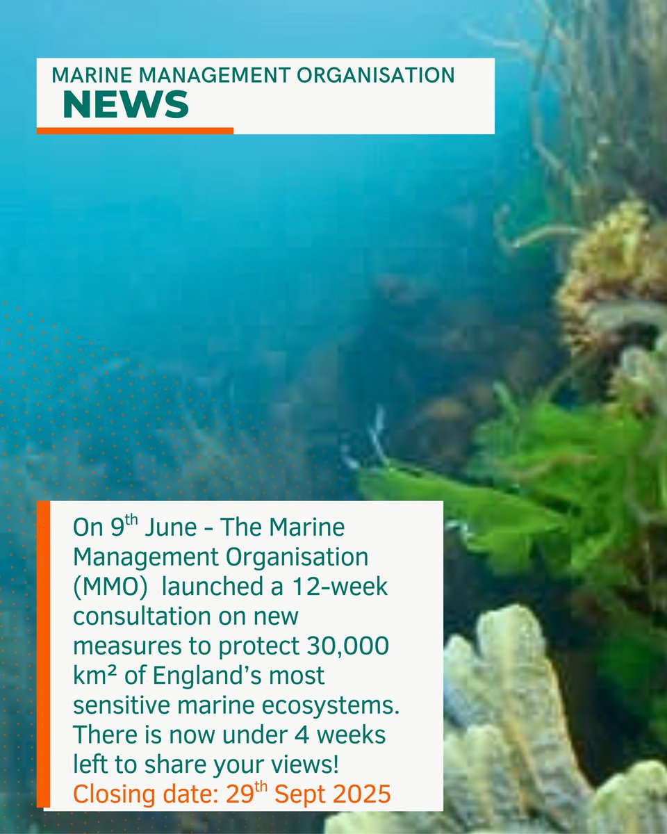 Have your say on Marine Protected Areas!
<a href="/The_MMO/">Marine Management Organisation</a>  has launched a consultation on proposed measures to protect habitats &amp; species in 42 offshore MPAs 🌊⏳ Less than 4 weeks left 

More info: gov.uk/government/col…
Survey: consult.defra.gov.uk/mmo/stage-3-fo…

 #MPAs #marineprotectedareas