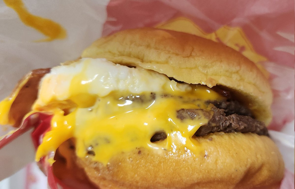 犬乃なゆき🐶🐾 tweet media