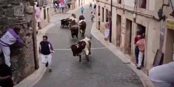 Videos de los Encierros de Sepúlveda 2025
elpregonerodesepulveda.es/index.php/92-n…