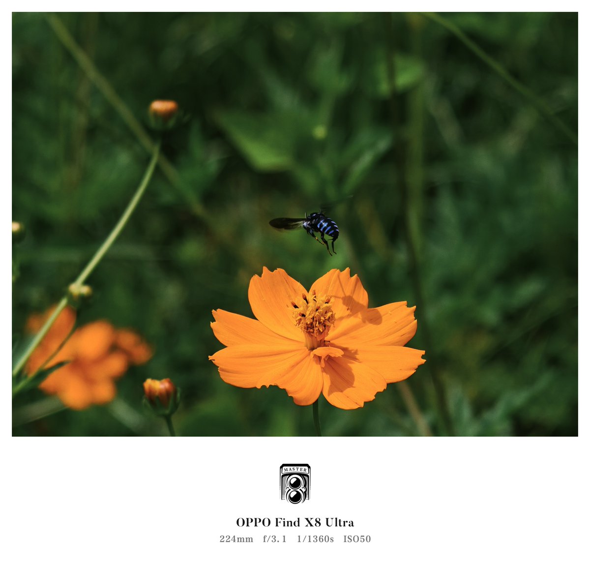 インフィニティ♾アプリ不調中(TT)ページ ASCII.jp：FCNTの法人向けスマホ「arrows BZ03」は5Gに対応し