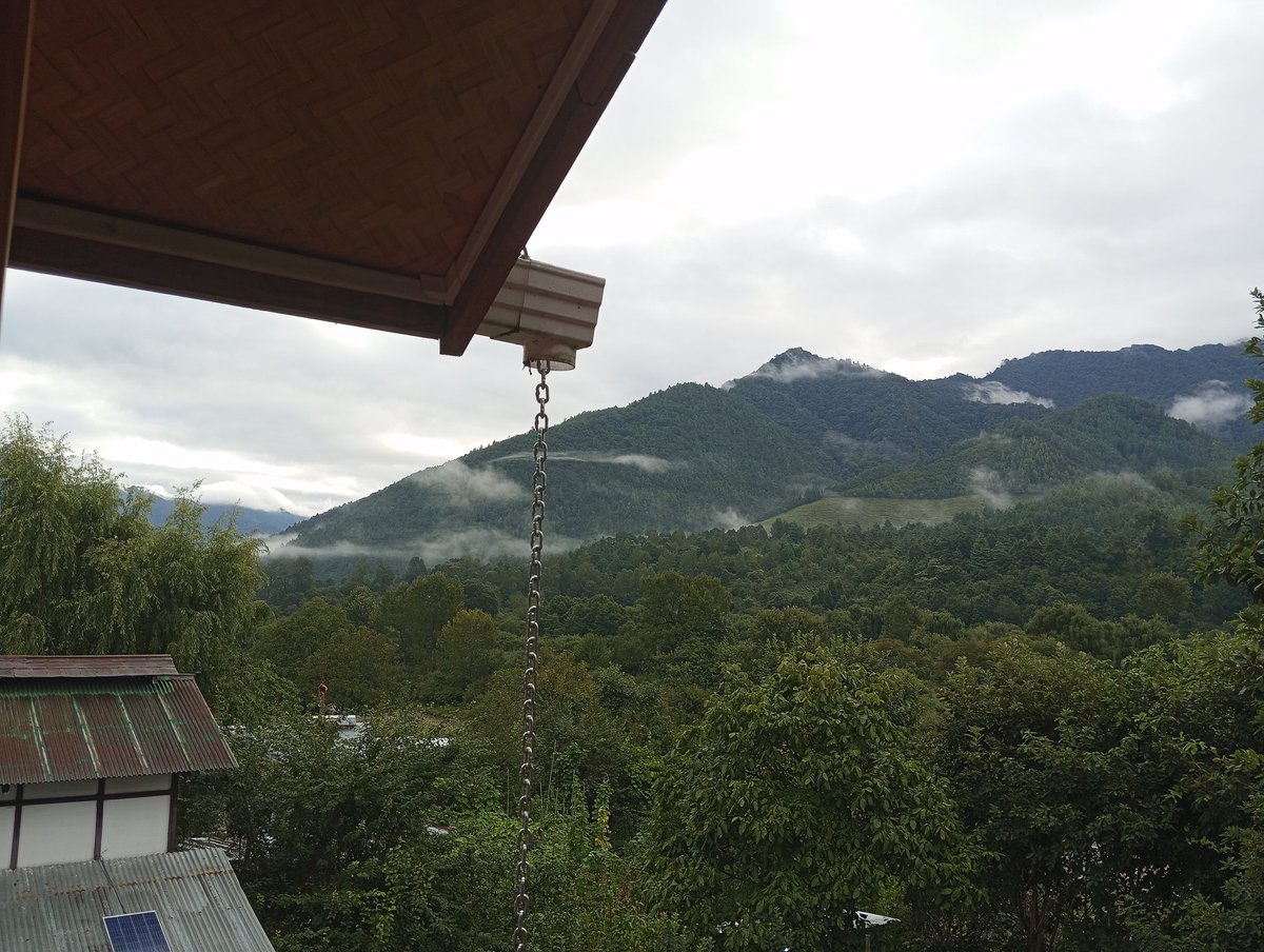 Can someone still access my protected post without following me in X? 🧐