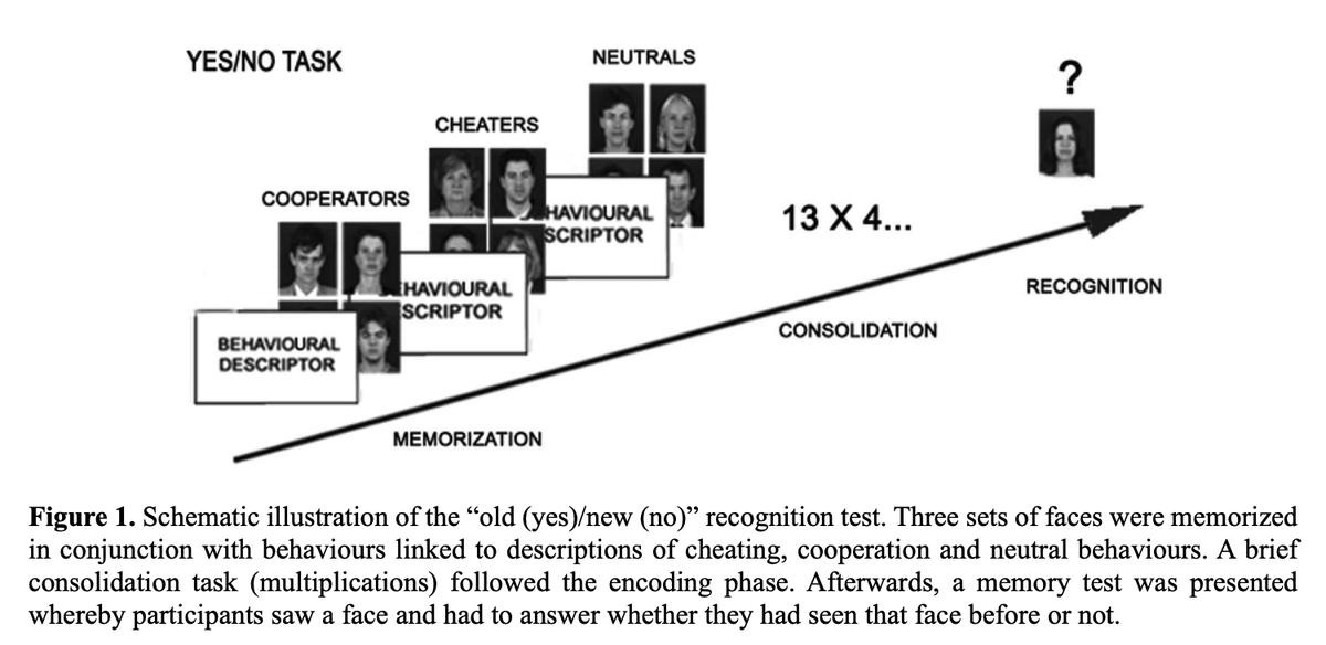 Spatial location in brief, free-viewing face encoding modulates contextual face recognition.
-&gt;Face recognition of cooperators better than cheaters &amp; better for faces encoded in upper than in lower hemifield, both in terms of a higher d' &amp; faster RT.
pmc.ncbi.nlm.nih.gov/articles/PMC38…