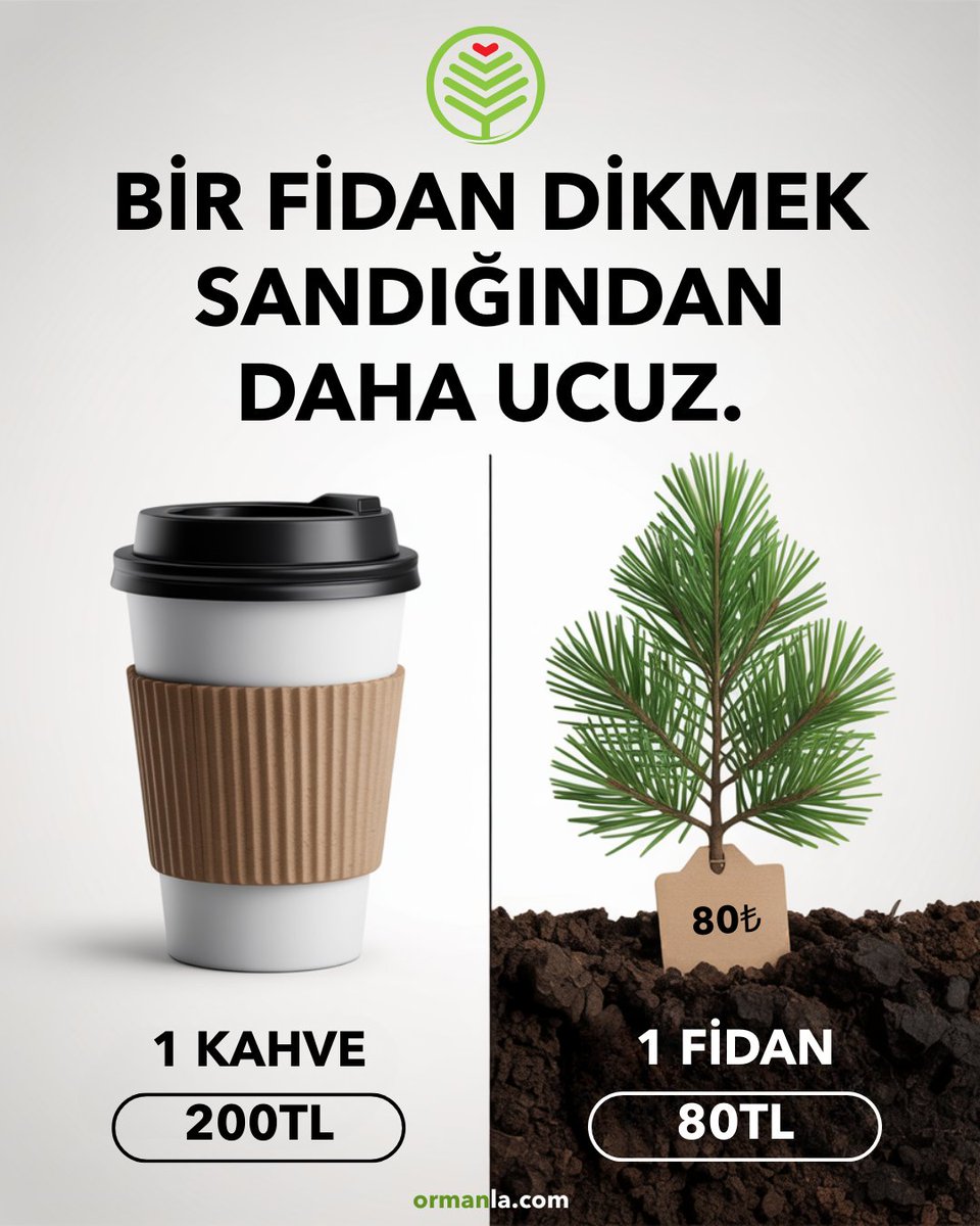 🌳 1 Fidan Dikmek, Sandığınızdan Daha Ucuz!
🔗 ormanla.com