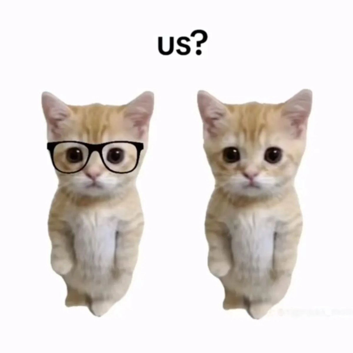 Miaw (@miaw) on Twitter photo 