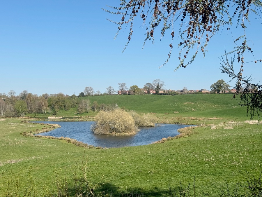 CathyRyan (@cathyry) on Twitter photo <a href="/DailyPicTheme2/">Daily Picture Theme</a> <a href="/DailyPicTheme2/">Daily Picture Theme</a>
Today's Daily Picture Theme is 'Pond'
A little #pond by the canal in Audlem, Cheshire <a href="/DailyPicTheme2/">Daily Picture Theme</a> <a href="/DailyPicTheme2/">Daily Picture Theme</a>
Today's Daily Picture Theme is 'Pond'
A little #pond by the canal in Audlem, Cheshire
