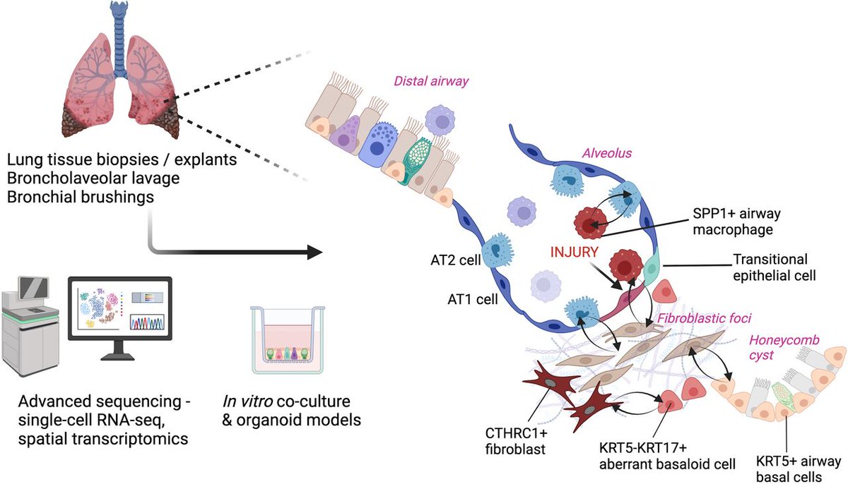ThoraxBMJ tweet media