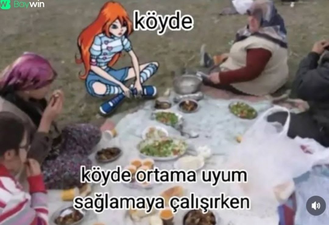 Anlık