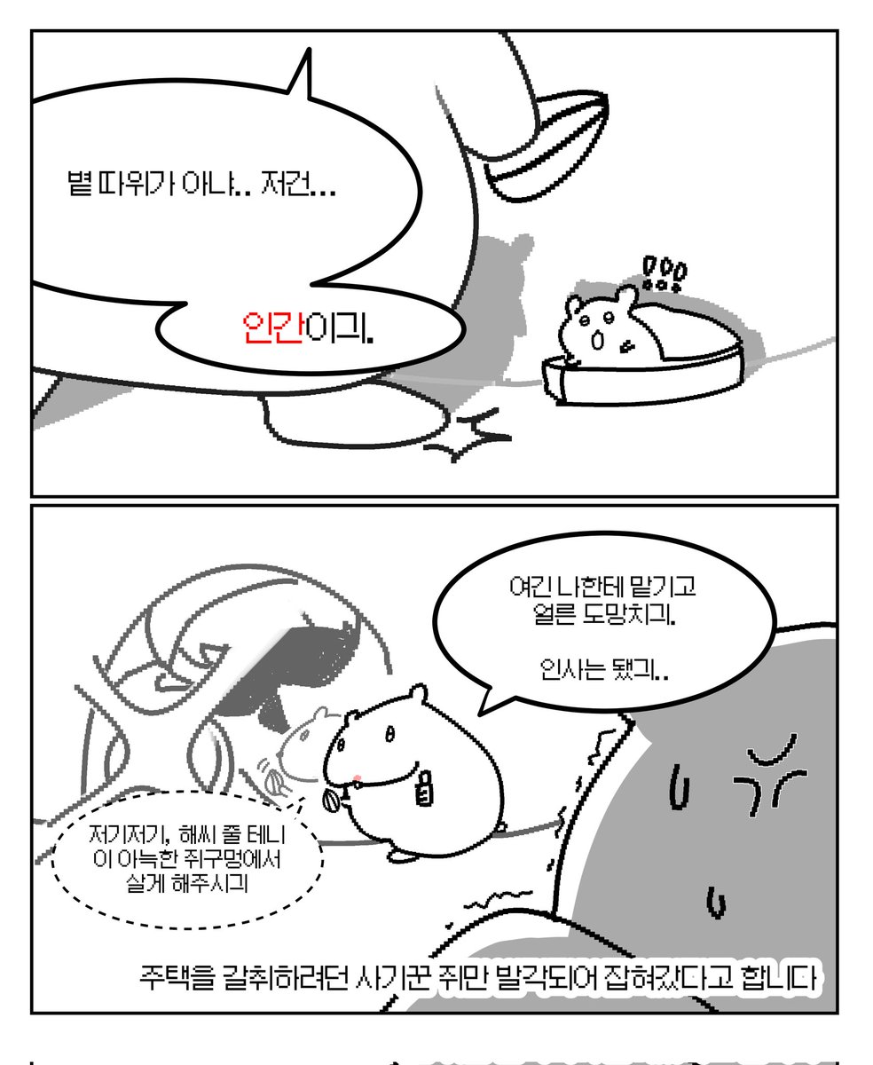 진짜 볕 들날 오길