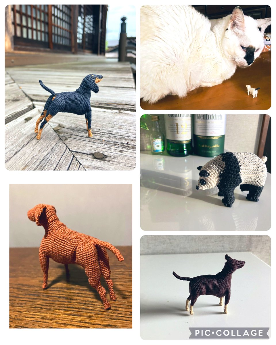 毛糸や刺繍糸であみぐるみを編んでいます
9月もよろしくお願いします🐈
 #9月になったのでフォロワーさんに自己紹介しようぜ