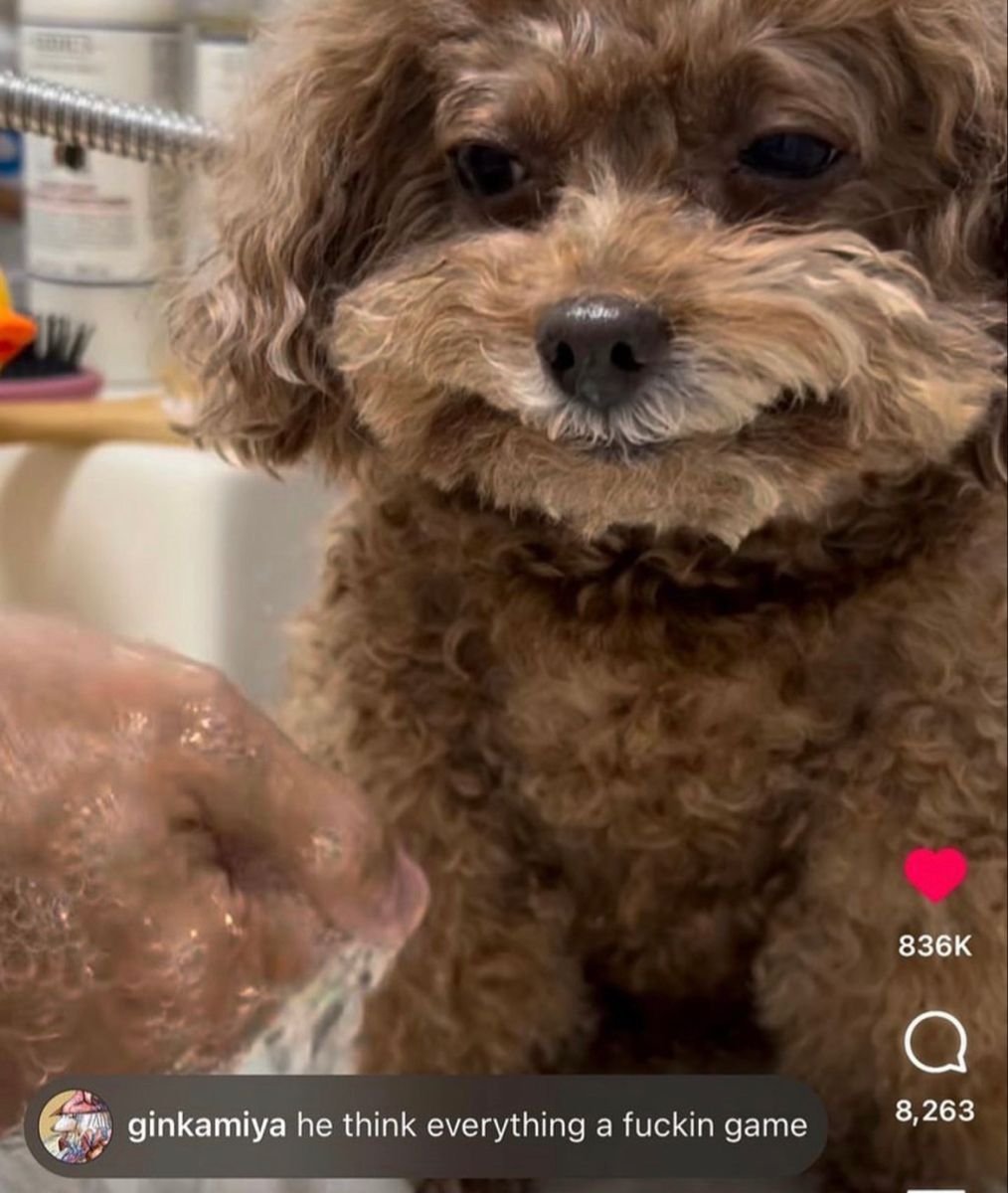 lovintakie's tweet image. HE THINK EVERYTHING A FUCKIN GAMEEEE 😭😭😭😭😭😭😭💔💔💔💔💔💔💔