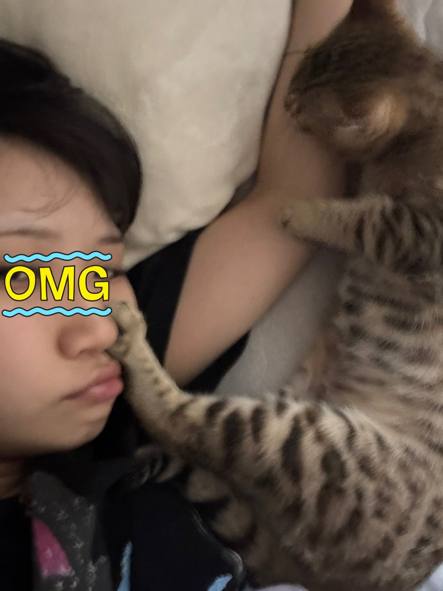 大体いつもこんな感じです