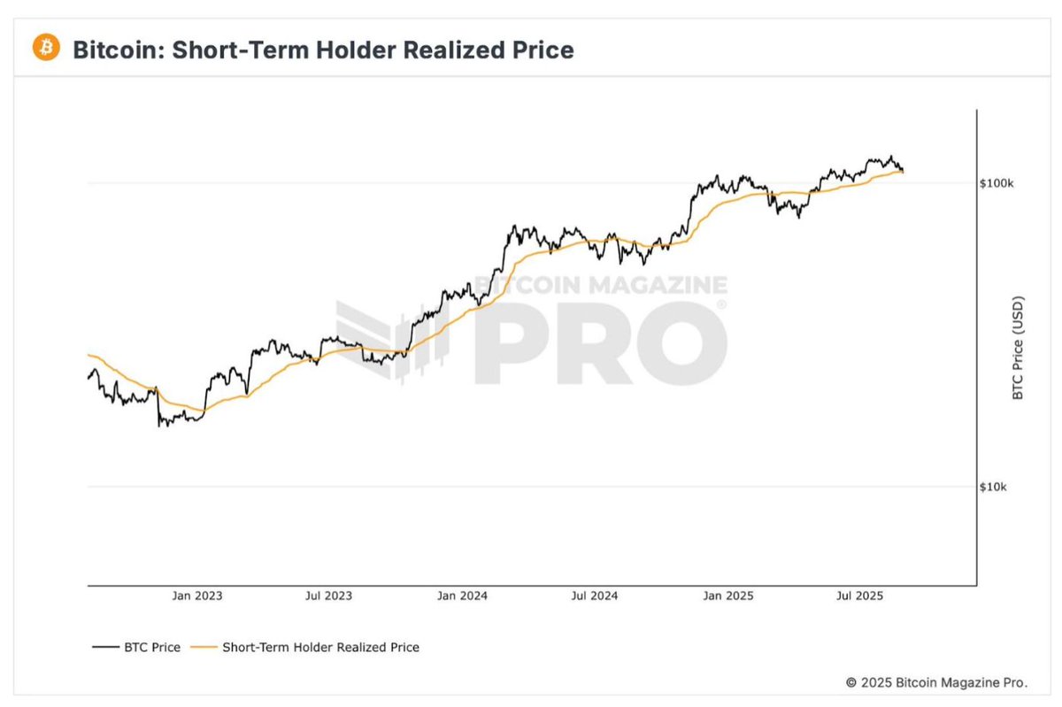 Watch the Bitcoin price. If it falls below the Short-Term Holders’ Realised Price (~$108,900), caution may be warranted.

The STH Realised Price tracks coins held <155 days, showing near-term sentiment.
Above it = profits for new holders;
Below it = potential selling pressure…