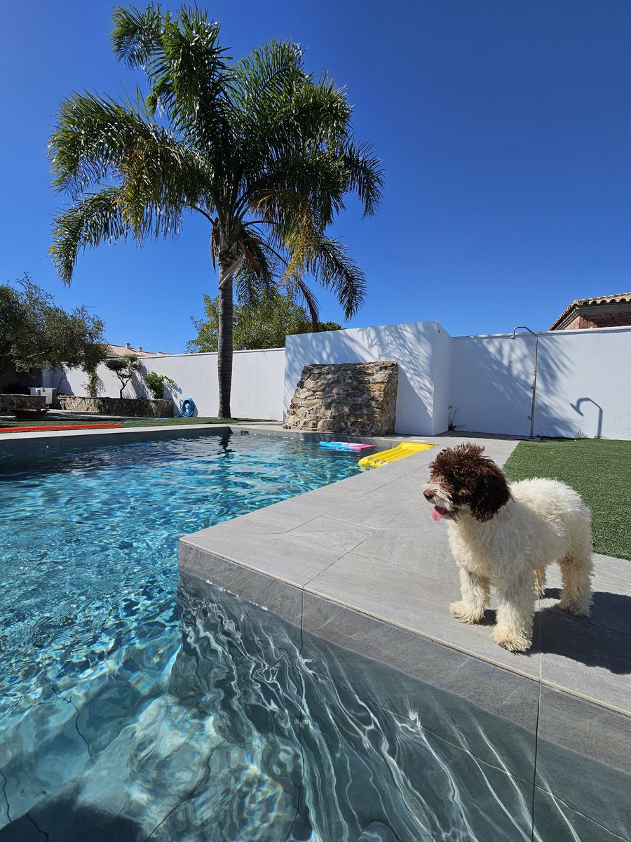 menacho1981's tweet image. Mi enano!!!!!