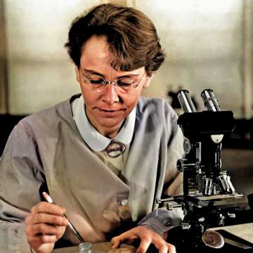 🕯️ Un día como hoy en 1992 fallecía Barbara McClintock (1902–1992).
 🌽Descubrió los “genes saltarines” (elementos transponibles), revolucionando la genética.
 🏅En 1983 recibió el Premio Nobel de Medicina, siendo la 1ª mujer en ganarlo en solitario.
Un legado que sigue vivo