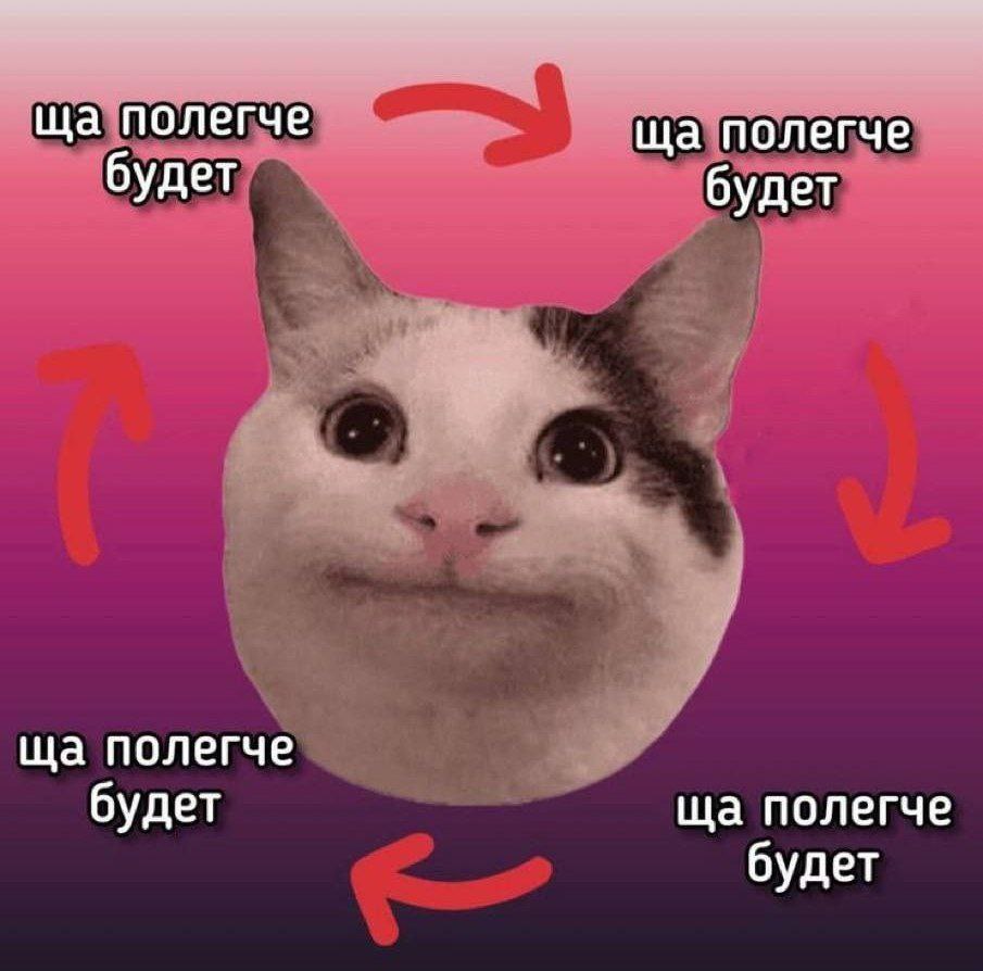 лайхо 🐟 (@ifucklikeabeast) on Twitter photo 