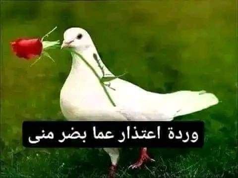 الد اعدائي ولا إمر اعدائي