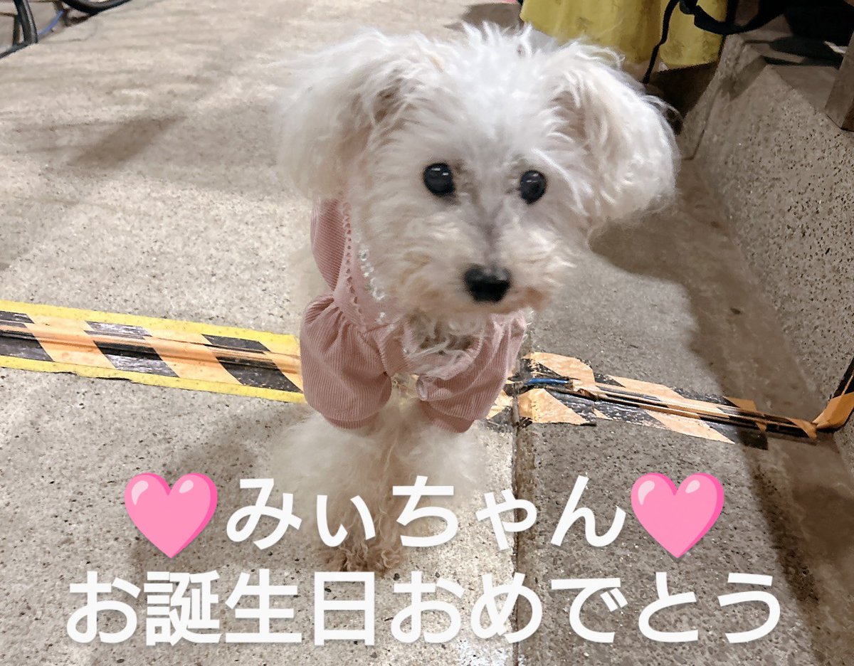 Maysオーダーページ•*¨*•.¸¸♬ Maysオーダーページ•*