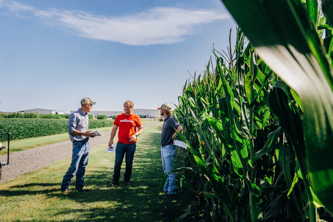 TAPSNetwork tweet media