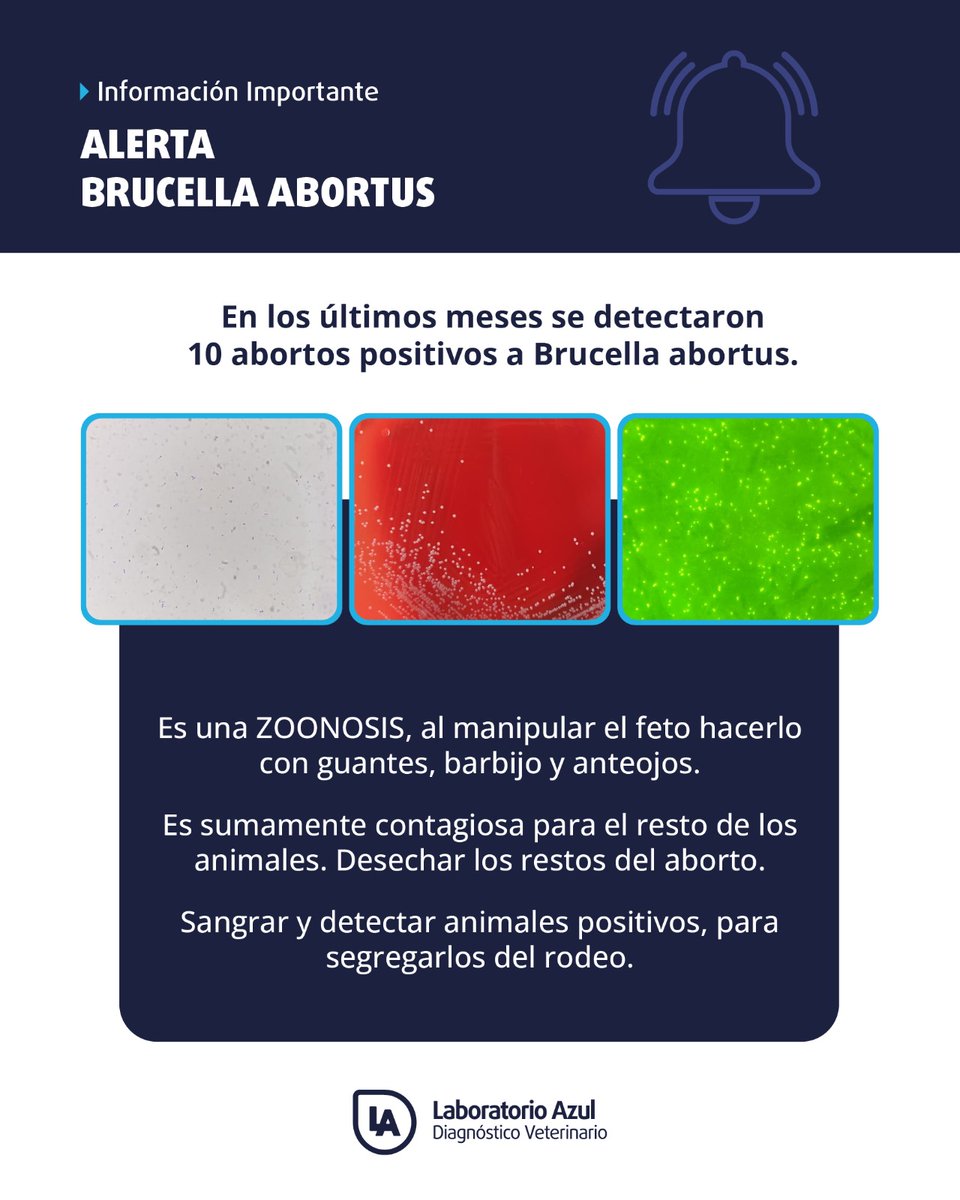 Atención con el aumento en casos de #brucelosis ... Consulte a su Veterinario!!!