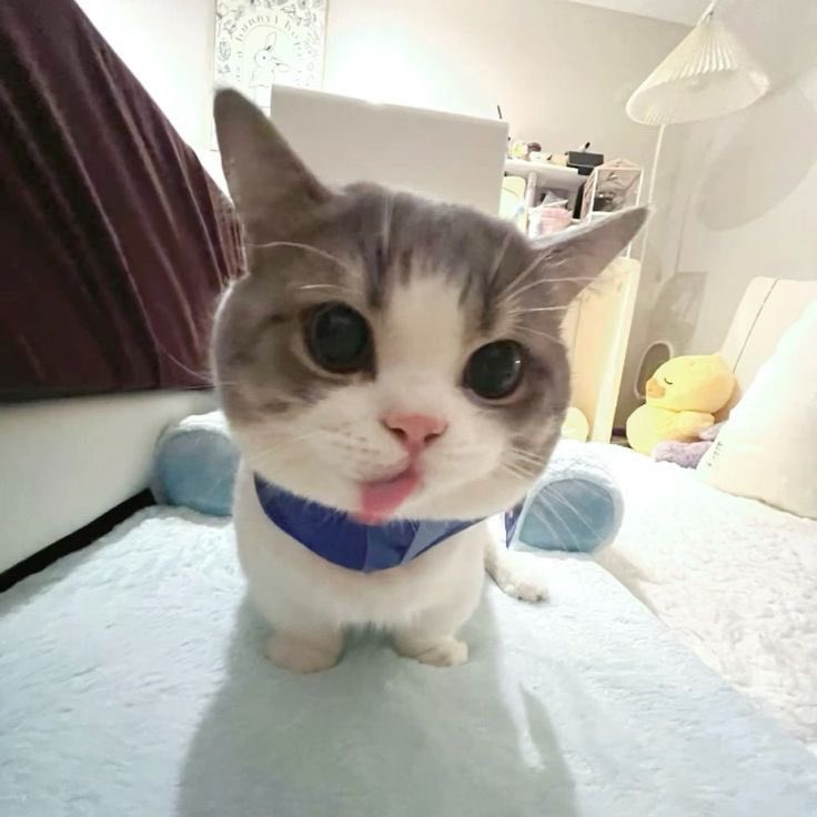 satin babeeey tweet media